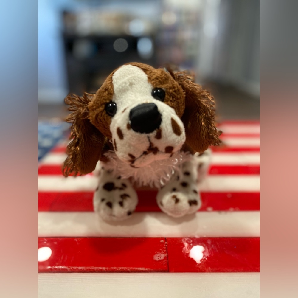 WEBKINZ SPRINGER SPANIEL